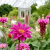 A botanical garden with rare flowers and glass domes