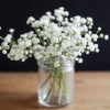 A bouquet of baby's breath in a glass jar