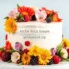 A cake decorated with fresh flowers and fruits