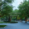 A city park with trees bearing digital tags showing CO2 absorption data augmented reality