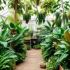 A greenhouse filled with diverse tropical plants