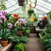 A greenhouse filled with orchids and ferns