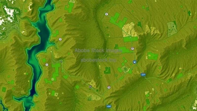 A high-resolution satellite image of reforested lands