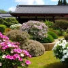 A Japanese garden with flowering shrubs
