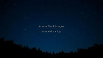 A night sky full of stars above a serene forest