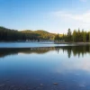 A peaceful lake surrounded by evergreen trees