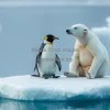 A polar bear and penguin sitting together on a small iceberg impossible surreal commentary