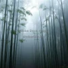A serene bamboo forest with morning fog