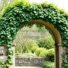 A vine-covered stone arch in a garden
