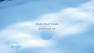 Abstract snow background with natural light patterns