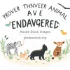 An illustrated poster about protecting endangered animals