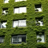 An urban building facade entirely covered with moss and algae panels biodesign