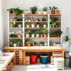 Bright craft room with plants on shelves and worktable