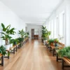 Bright hallway lined with plants on benches