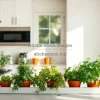Bright kitchen filled with herbs in terra cotta pots