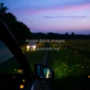 Car driving through a field of fireflies at dusk magical atmosphere