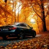 Car engulfed in autumn forest road leaves swirling golden light