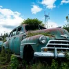 Car graveyard full of old vehicles overgrown with plants post apocalyptic feel