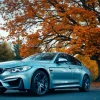 Car parked under a huge tree with autumn leaves falling warm colors