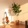 Corner of living room with violin stand and tall ficus tree