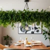 Dining space with hanging greenery above the table