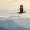 Eagle soaring above mountain peaks