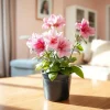 Flowering azalea in pot on coffee table