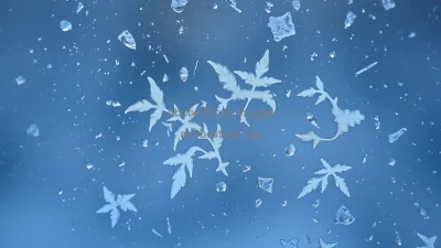 Frost on window creating delicate natural art