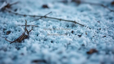 Frost-covered ground macro with cool color palette