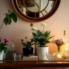 Home bar cart decorated with plants and flowers