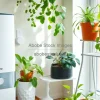 Indoor garden corner with humidifier