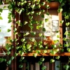 Indoor ivy trailing from bookshelf