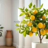 Indoor lemon tree in a ceramic pot