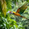 Macaw flying through lush rainforest