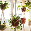 Macrame plant hangers with trailing ivy in front of a bright window