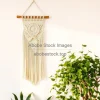 Macrame wall hanging and trailing philodendron in boho apartment
