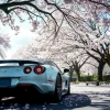 Sports car under cherry blossom trees petals falling spring atmosphere