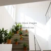 Sunlit stairwell with plants on each step